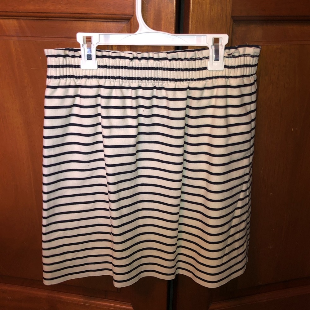 J Crew Skirt